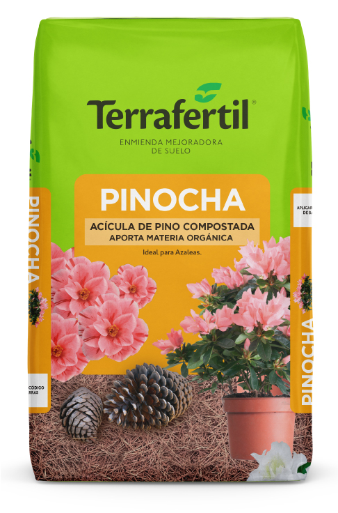 Producto Pinocha