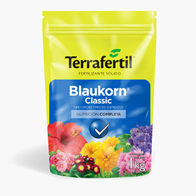 Blaukorn classic