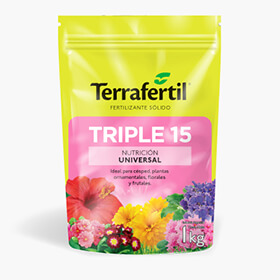 Triple 15