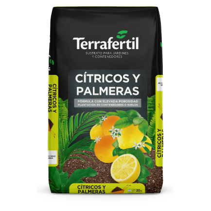 Cítricos y Palmeras