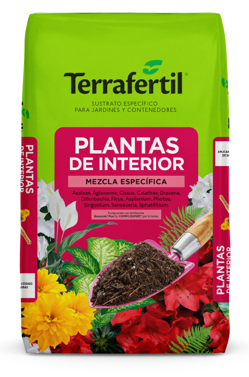 Plantas de interior